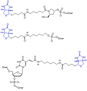 Biotin - General Structure - рус.png